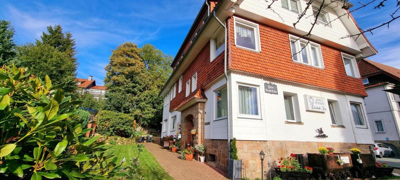Hotel Elisabeth Ilse Braunlage Eksteriør bilde