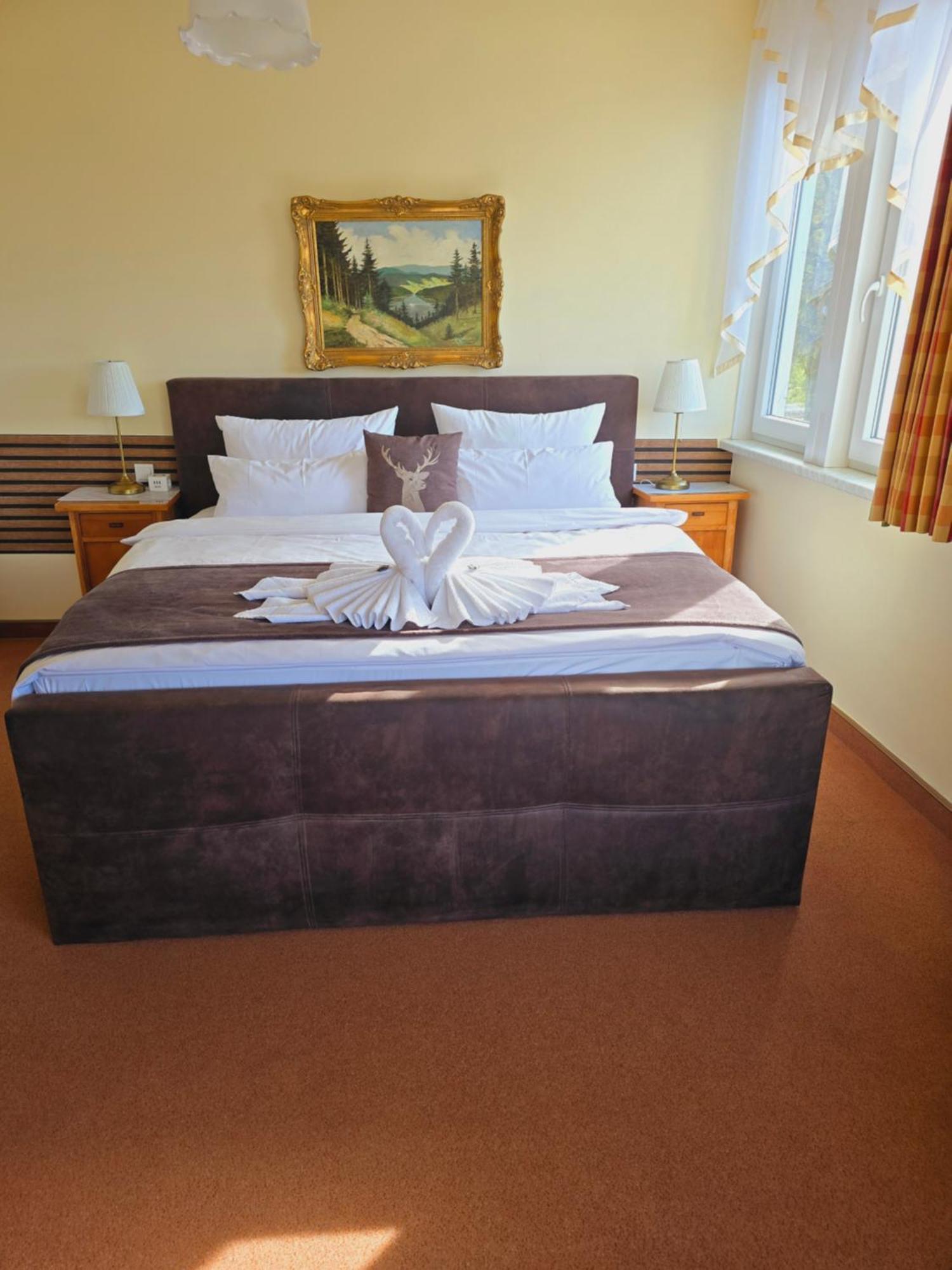 Hotel Elisabeth Ilse Braunlage Eksteriør bilde